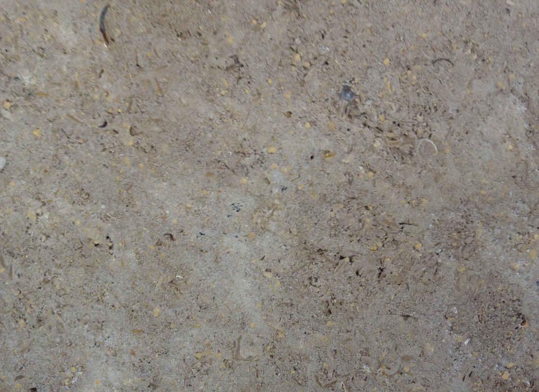 Tumbled Sinai Pearl-Wer Stone-WerStone